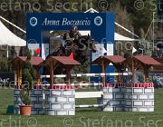 Coata Chika's Way TosTour2013- S5 2351 : Arezzo, Arezzo Equestrian Centre, Chika's Way, Coata Simone, Toscana Tour 2013, foto di Stefano Secchi ©